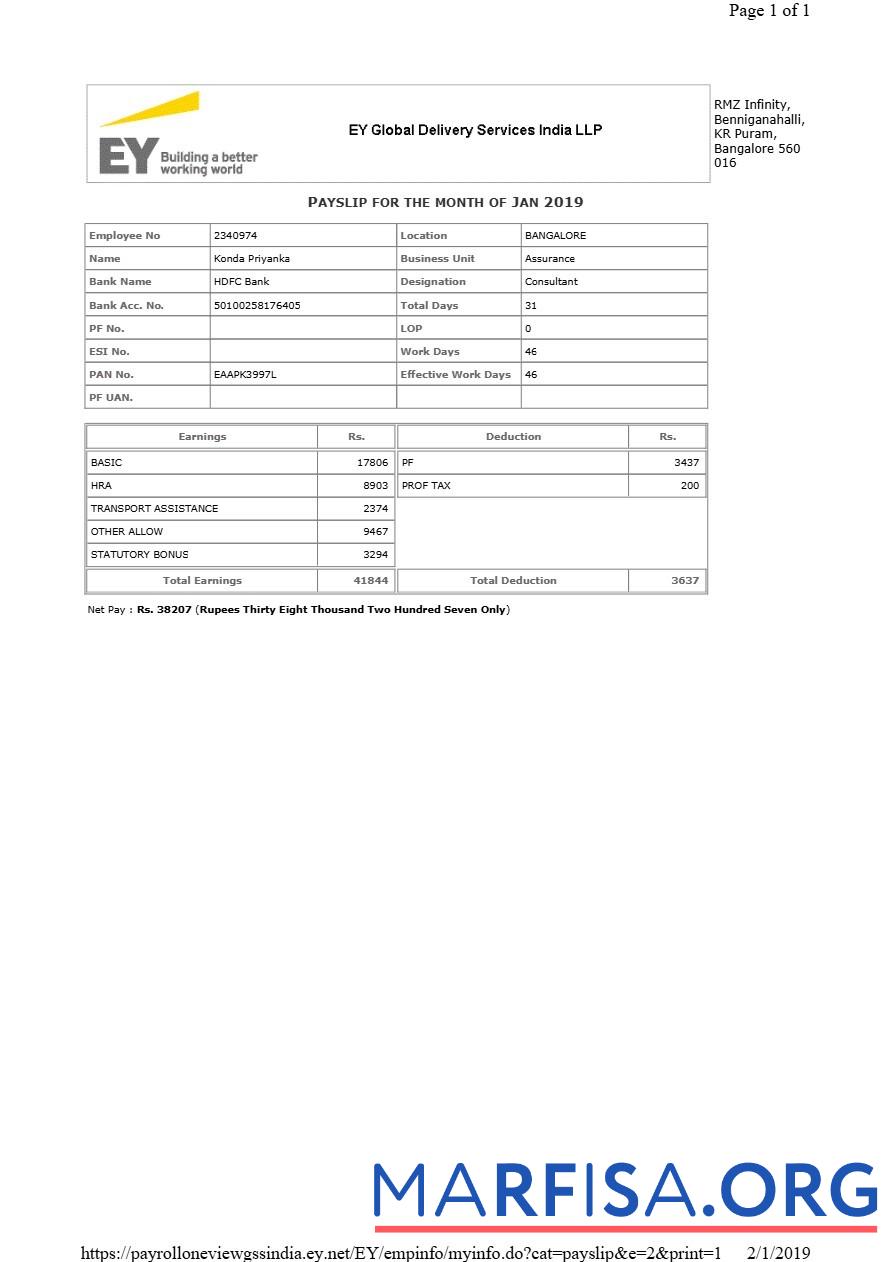 Realistic EY Global Delivery Services payslip example